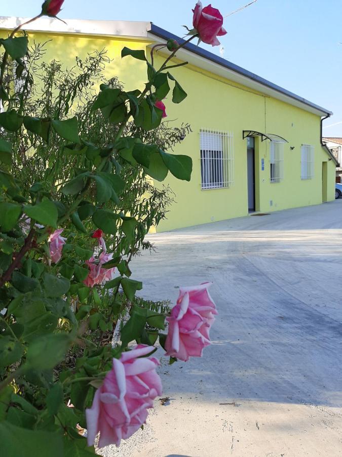 La Casa Di Paolo *